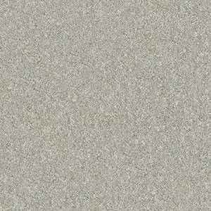 Shaw Floors Carpet Attainable Soft Fleece 120T_E9965