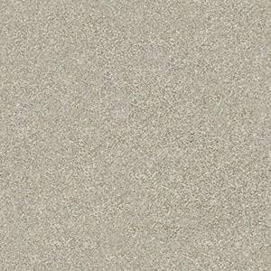 Shaw Floors Carpet Attainable Desert Light 121T_E9965