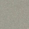 Shaw Floors Carpet Attainable Clay 122T_E9965