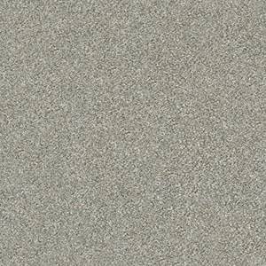 Shaw Floors Carpet Attainable Clay 122T_E9965
