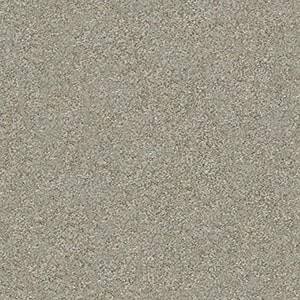 Shaw Floors Carpet Attainable Winter Dunes 123T_E9965