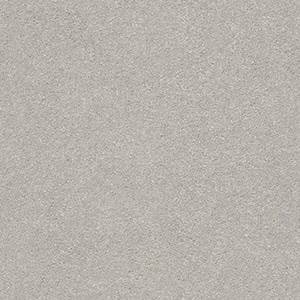 Shaw Floors Carpet Attainable Platinum 500S_E9965