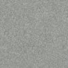 Shaw Floors Carpet Attainable Sterling 520T_E9965