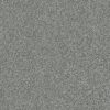 Shaw Floors Carpet Attainable Arctic Shadow 521T_E9965