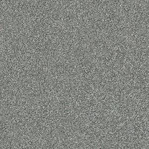 Shaw Floors Carpet Attainable Arctic Shadow 521T_E9965
