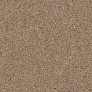 Shaw Floors Carpet Attainable Cork 701S_E9965