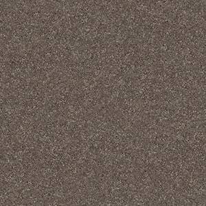 Shaw Floors Carpet Attainable Urban Loft 702S_E9965