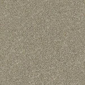 Shaw Floors Carpet Attainable Grecian Tan 720T_E9965