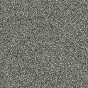 Shaw Floors Carpet Attainable Cedar Ridge 721T_E9965