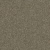 Shaw Floors Carpet Attainable Fox Hollow 722T_E9965