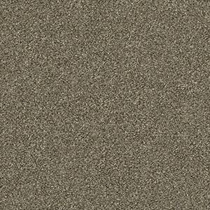 Shaw Floors Carpet Attainable Fox Hollow 722T_E9965
