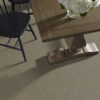 Shaw Floors Carpet Attainable Fox Hollow 722T_E9965 - Image 2