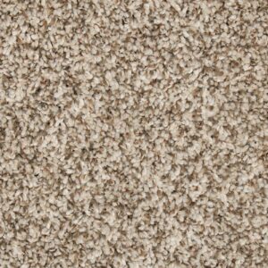 Mohawk EverStrand Renovate II Elk Beige Premium Stylish Neutral Carpet