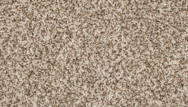 Mohawk EverStrand Renovate II Elk Beige Premium Stylish Neutral Carpet