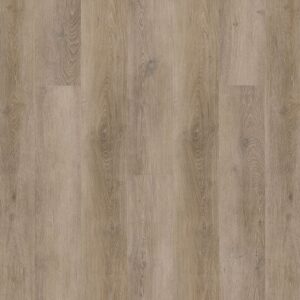 Dreamweaver Carpet Gallatin Plus Druidstone Carpet L008P_4022