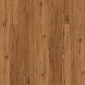 Dreamweaver Carpet Gallatin Plus Whitehaven Carpet L008P_4029