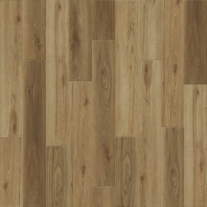 Dreamweaver Carpet Empower Ellis Carpet L055_5505