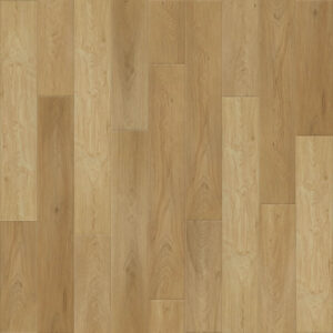 Dreamweaver Carpet Empower Charlotte Carpet L055_5508