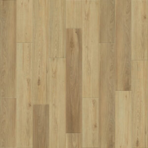 Dreamweaver Carpet Empower Frederick Carpet L055_5509