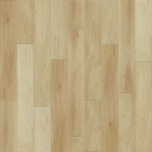 Dreamweaver Carpet Empower Griffin Carpet L055_5510