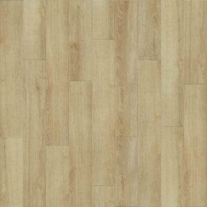 Dreamweaver Carpet Empower Lincoln Carpet L055_5511