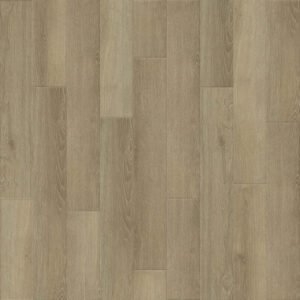 Dreamweaver Carpet Empower Zion Carpet L055_5512