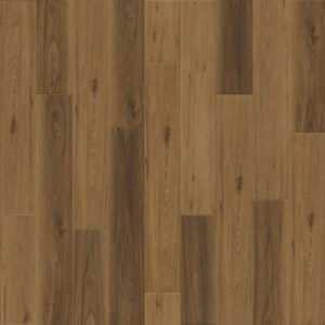 Dreamweaver Carpet Empower Chelsea Carpet L055_5503