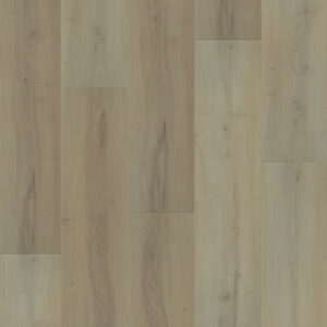 Dreamweaver Carpet Restore Elowen Carpet L066_6601