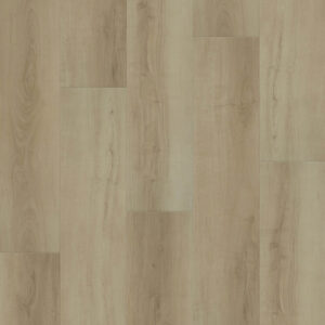 Dreamweaver Carpet Restore Luna Carpet L066_6602