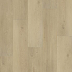 Dreamweaver Carpet Restore Sydney Carpet L066_6603