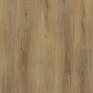 Dreamweaver Carpet Restore Austin Carpet L066_6604