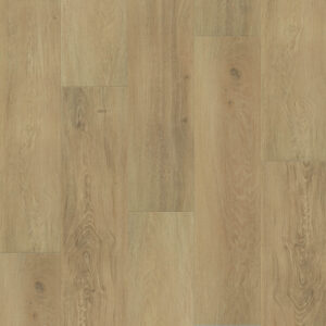 Dreamweaver Carpet Restore Sophia Carpet L066_6605