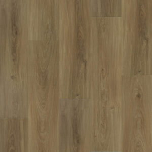 Dreamweaver Carpet Restore Kingston Carpet L066_6606