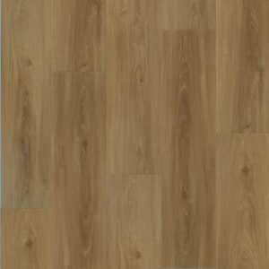 Dreamweaver Carpet Restore Shiloh Carpet L066_6607