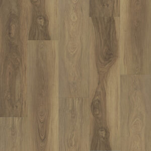 Dreamweaver Carpet Restore Bristol Carpet L066_6608