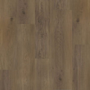 Dreamweaver Carpet Restore Camden Carpet L066_6609