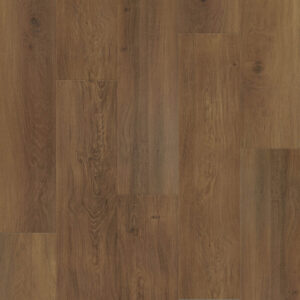 Dreamweaver Carpet Restore Sedona Carpet L066_6610