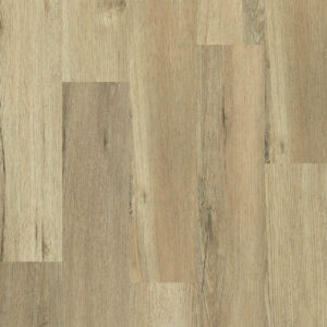 Dreamweaver Carpet Ozark II Key Largo Carpet L2012_4006