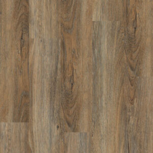 Dreamweaver Carpet Ozark II Bay of Plenty Carpet L2012_4007