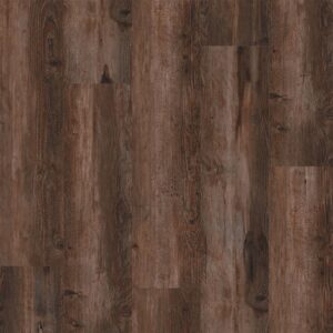 Dreamweaver Carpet Cascade Rustic Lodge Carpet L2520_0820