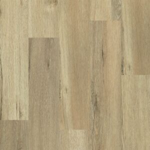 Dreamweaver Carpet Cascade Key Largo Carpet L2520_4006