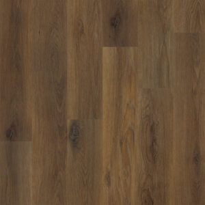 Dreamweaver Carpet Paradise Heights 5013 Carpet L0501_Autumn