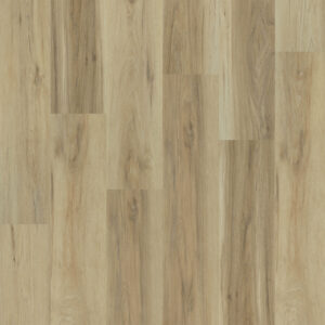 Dreamweaver Carpet Meadow Woods 5020 Carpet L0502_Sierra