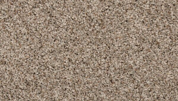 Mohawk EverStrand Renovate II Havana – Comfortable & Stylish Neutral Carpet