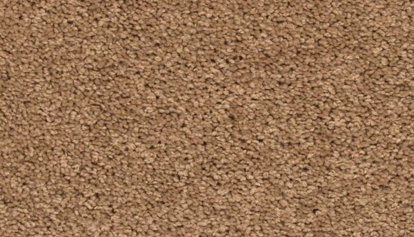 Mohawk EverStrand Revive Fowler – Stylish Neutral Carpet for Any Room