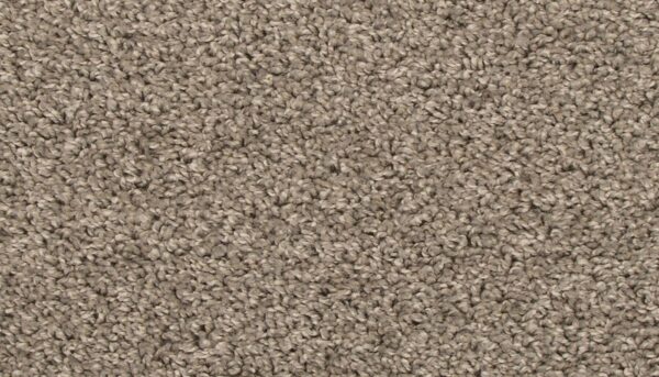 Mohawk EverStrand Revive Birdbath – Stain-Resistant Carpet
