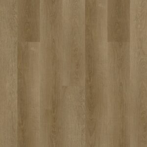 Dreamweaver Carpet Lifestyle Coral Coast Carpet R007_4021