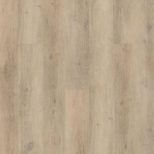 Dreamweaver Carpet Lifestyle Clearwater Carpet R007_4026