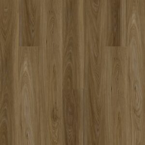 Dreamweaver Carpet Timeless Beauty Ellington Carpet R013_3006