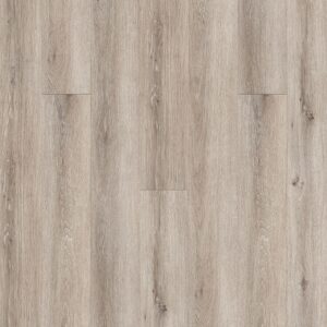 Dreamweaver Carpet Timeless Beauty Hargrove Carpet R013_3009